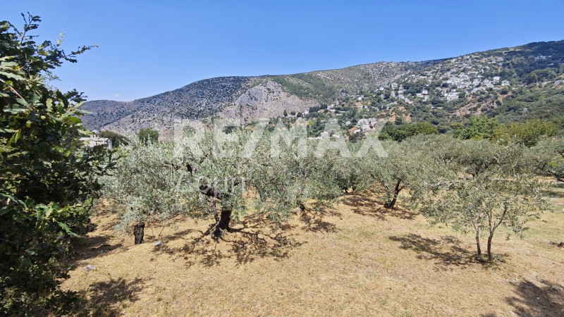 Μονοκατοικία 41 τ.μ. προς πώληση, Μαγνησία, Πορταριά