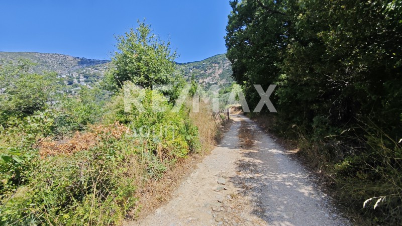 Μονοκατοικία 41 τ.μ. προς πώληση, Μαγνησία, Πορταριά