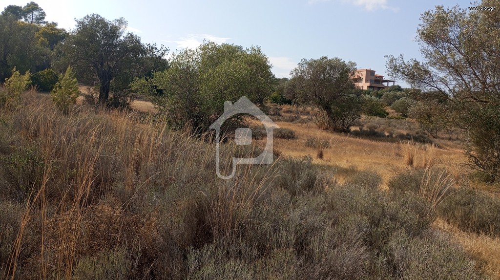 Αγροτεμάχια 4.000 τ.μ. προς πώληση, Παναγίτσα Κρανιδίου