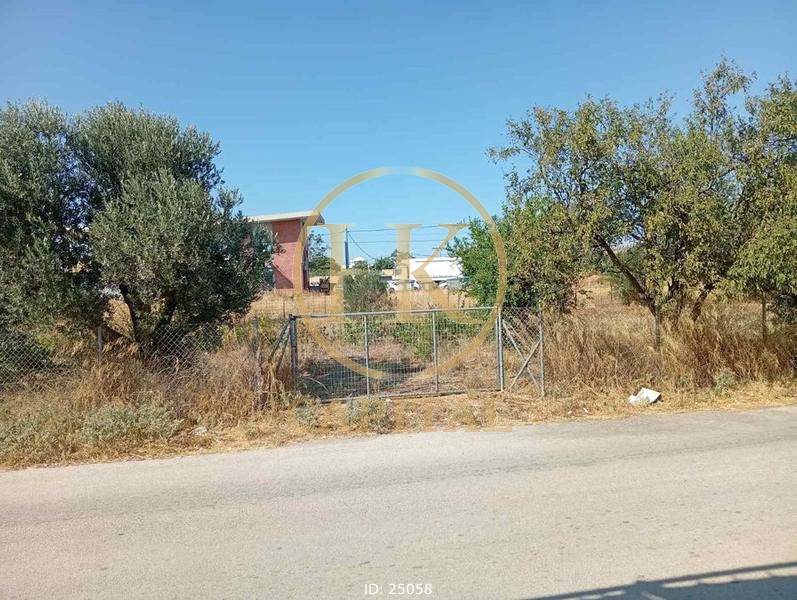 Οικόπεδο 1.730 τ.μ. προς πώληση, Κέντρο Παλαιάς Φώκαιας