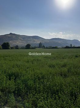 Αγροτεμάχια 25.300 τ.μ. προς πώληση