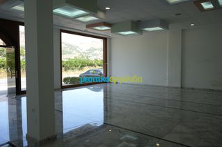 Κατάστημα 205 τ.μ. για ενοικίαση, Αργολίδα, Άργος-thumb-7