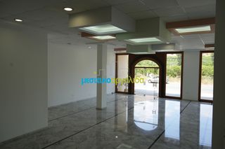 Κατάστημα 205 τ.μ. για ενοικίαση, Αργολίδα, Άργος-thumb-15
