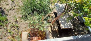 Μονοκατοικία 76 τ.μ. για πώληση, Ν. Σερρών, Αμφίπολη-thumb-14