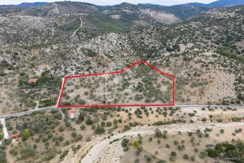 Αγροτεμάχια 25.015 τ.μ. για πώληση, Ν. Καβάλας, Θάσος