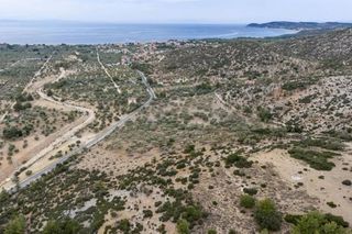 Αγροτεμάχια 25.015 τ.μ. για πώληση, Ν. Καβάλας, Θάσος-thumb-2