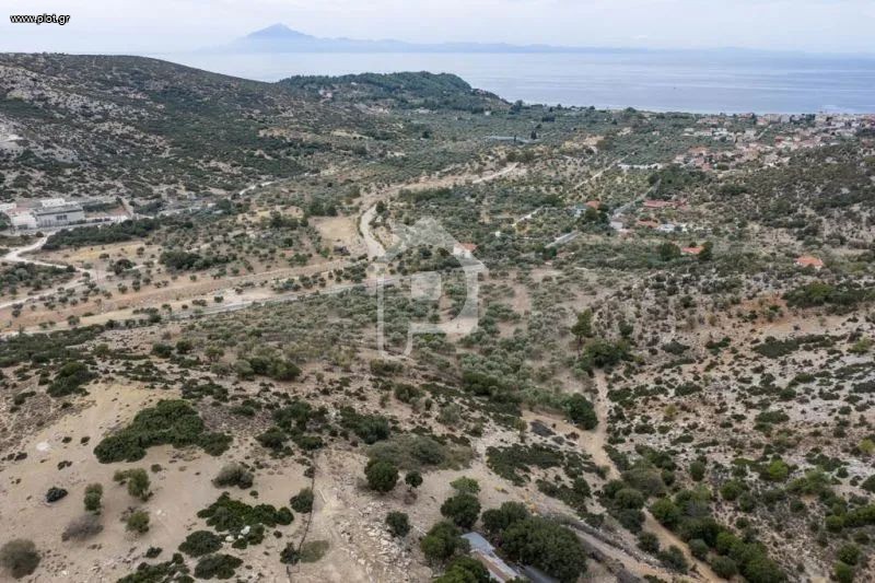 Αγροτεμάχια 25.015 τ.μ. προς πώληση, Ποτός
