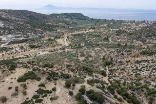 Αγροτεμάχια 25.015 τ.μ. για πώληση, Ν. Καβάλας, Θάσος-thumb-3