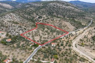 Αγροτεμάχια 25.015 τ.μ. για πώληση, Ν. Καβάλας, Θάσος-thumb-4