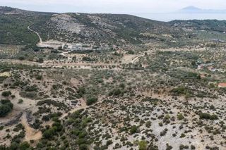 Αγροτεμάχια 25.015 τ.μ. για πώληση, Ν. Καβάλας, Θάσος-thumb-8