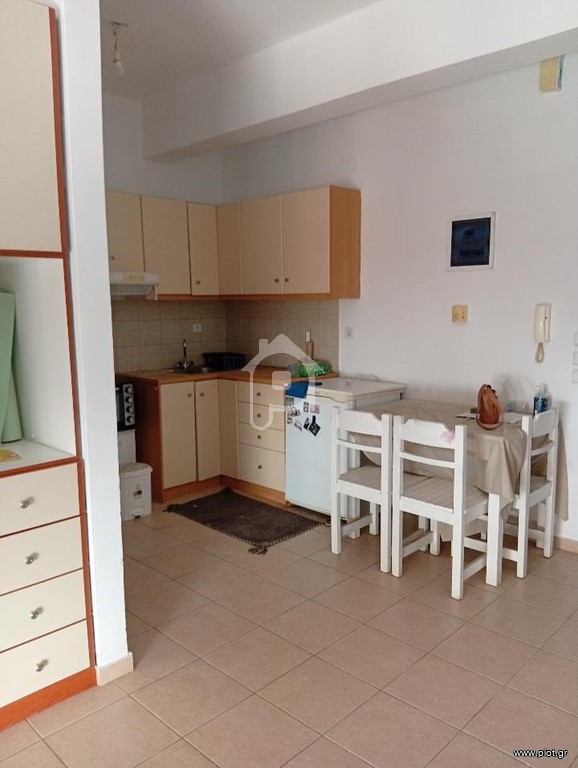 Studio / γκαρσονιέρα 30 τ.μ. προς ενοικίαση, Ψαχνά