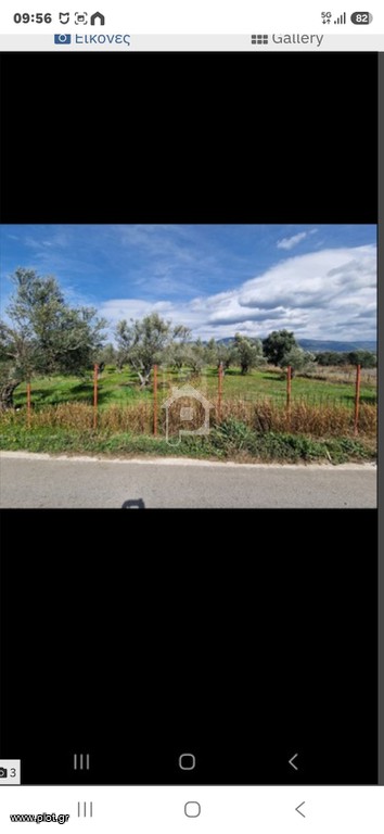 Αγροτεμάχια 14.000 τ.μ. πρός ενοικίαση, Αχαΐα, Φαρές