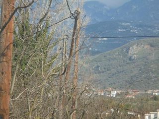 Αγροτεμάχια 7.300 τ.μ. για πώληση, Μαγνησία, Αρτέμιδα-thumb-4