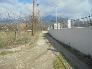 Αγροτεμάχια 7.300 τ.μ. για πώληση, Μαγνησία, Αρτέμιδα-thumb-3