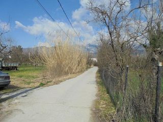 Αγροτεμάχια 7.300 τ.μ. για πώληση, Μαγνησία, Αρτέμιδα-thumb-9