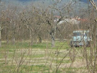 Αγροτεμάχια 7.300 τ.μ. για πώληση, Μαγνησία, Αρτέμιδα-thumb-5