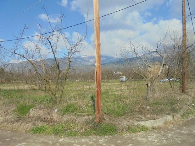 Αγροτεμάχια 7.300 τ.μ. πρός πώληση, Μαγνησία, Αρτέμιδα