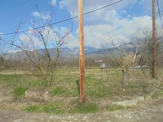 Αγροτεμάχια 7.300 τ.μ. για πώληση, Μαγνησία, Αρτέμιδα-thumb-1
