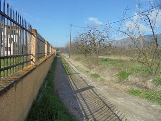Αγροτεμάχια 7.300 τ.μ. για πώληση, Μαγνησία, Αρτέμιδα-thumb-2