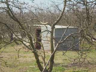 Αγροτεμάχια 7.300 τ.μ. για πώληση, Μαγνησία, Αρτέμιδα-thumb-11