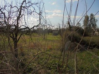 Αγροτεμάχια 7.300 τ.μ. για πώληση, Μαγνησία, Αρτέμιδα-thumb-10