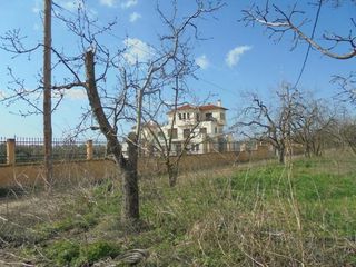 Αγροτεμάχια 7.300 τ.μ. για πώληση, Μαγνησία, Αρτέμιδα-thumb-7