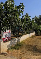 Οικόπεδο 469,98 τ.μ. για πώληση