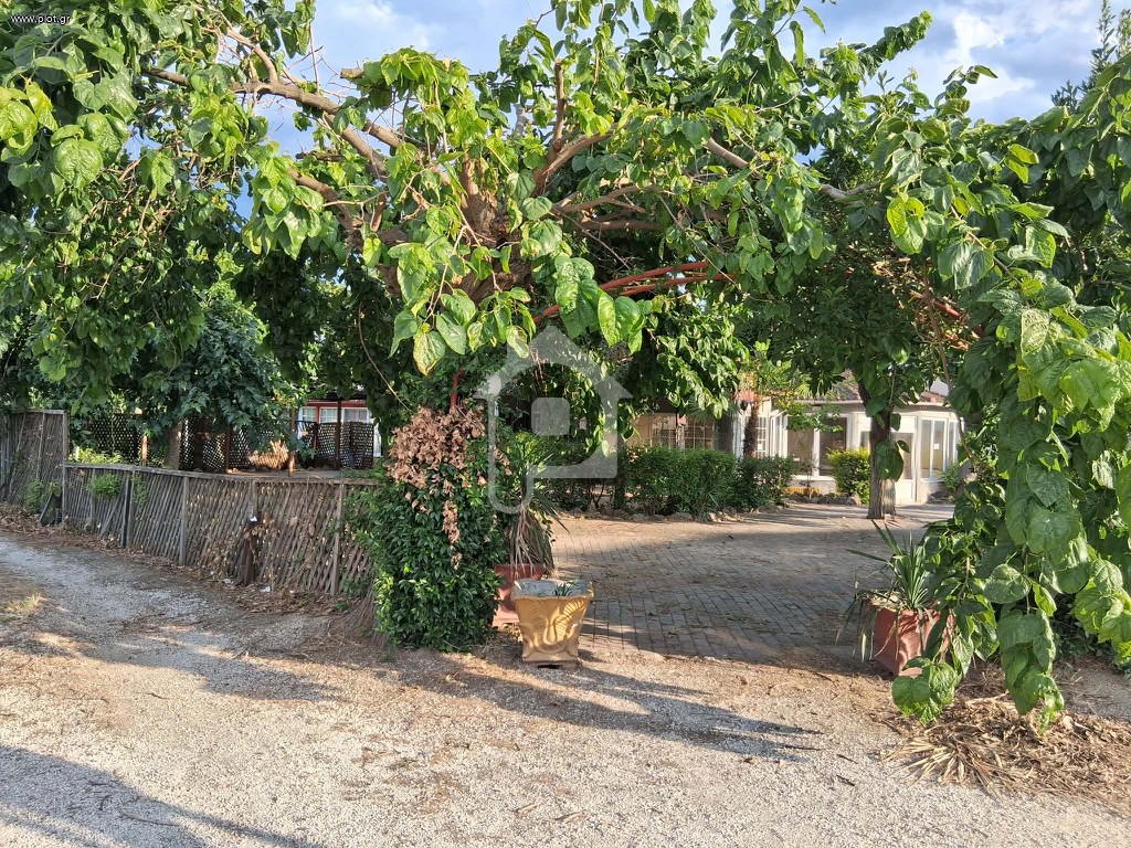 Κατάστημα 250 τ.μ. πρός ενοικίαση, Ν. Λάρισας, Ελασσόνα