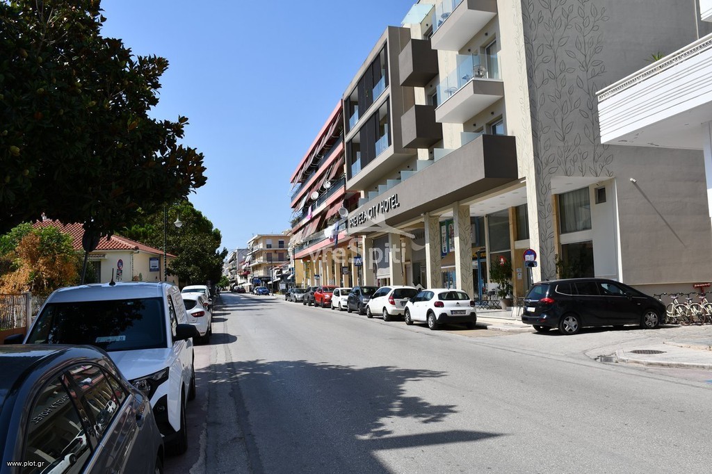 Αγροτεμάχια 15.328 τ.μ. για πώληση, Ν. Πρέβεζας, Πρέβεζα
