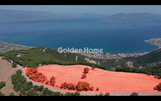 Οικόπεδο 14.000 τ.μ. για πώληση