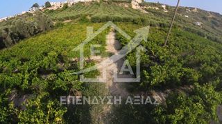 Οικόπεδο 4.000 τ.μ. για πώληση