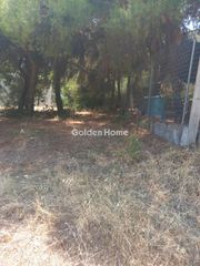 Οικόπεδο 1.200 τ.μ. για πώληση, Βοιωτία, Σχηματάρι-thumb-8