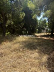 Οικόπεδο 1.200 τ.μ. για πώληση, Βοιωτία, Σχηματάρι-thumb-3