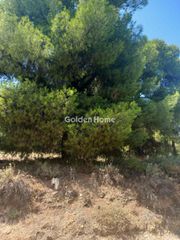 Οικόπεδο 1.200 τ.μ. για πώληση, Βοιωτία, Σχηματάρι-thumb-11