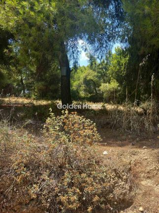 Οικόπεδο 1.200 τ.μ. για πώληση, Βοιωτία, Σχηματάρι