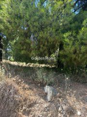 Οικόπεδο 1.200 τ.μ. για πώληση, Βοιωτία, Σχηματάρι-thumb-12