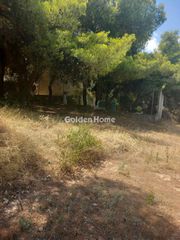 Οικόπεδο 1.200 τ.μ. για πώληση, Βοιωτία, Σχηματάρι-thumb-4