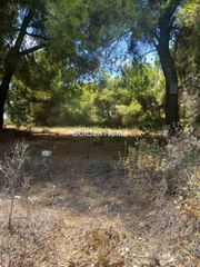 Οικόπεδο 1.200 τ.μ. για πώληση, Βοιωτία, Σχηματάρι-thumb-7