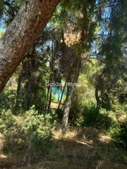 Οικόπεδο 1.200 τ.μ. για πώληση, Βοιωτία, Σχηματάρι-thumb-10