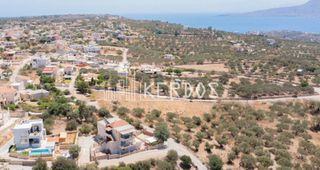 Οικόπεδο 20.300 τ.μ. για πώληση