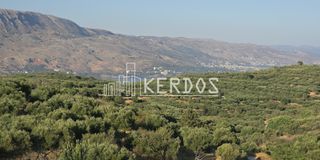 Οικόπεδο 20.300 τ.μ. για πώληση