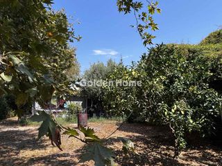 Οικόπεδο 794 τ.μ. για πώληση, Αχαΐα, Ρίο-thumb-7