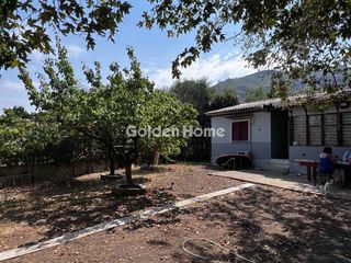 Οικόπεδο 794 τ.μ. για πώληση, Αχαΐα, Ρίο-thumb-32
