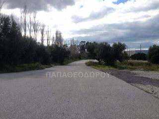 Αγροτεμάχια 7.300 τ.μ. για ενοικίαση, Αχαΐα, Ρίο-thumb-10