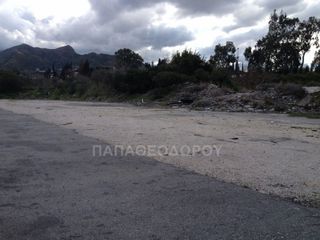 Αγροτεμάχια 7.300 τ.μ. για ενοικίαση, Αχαΐα, Ρίο-thumb-9