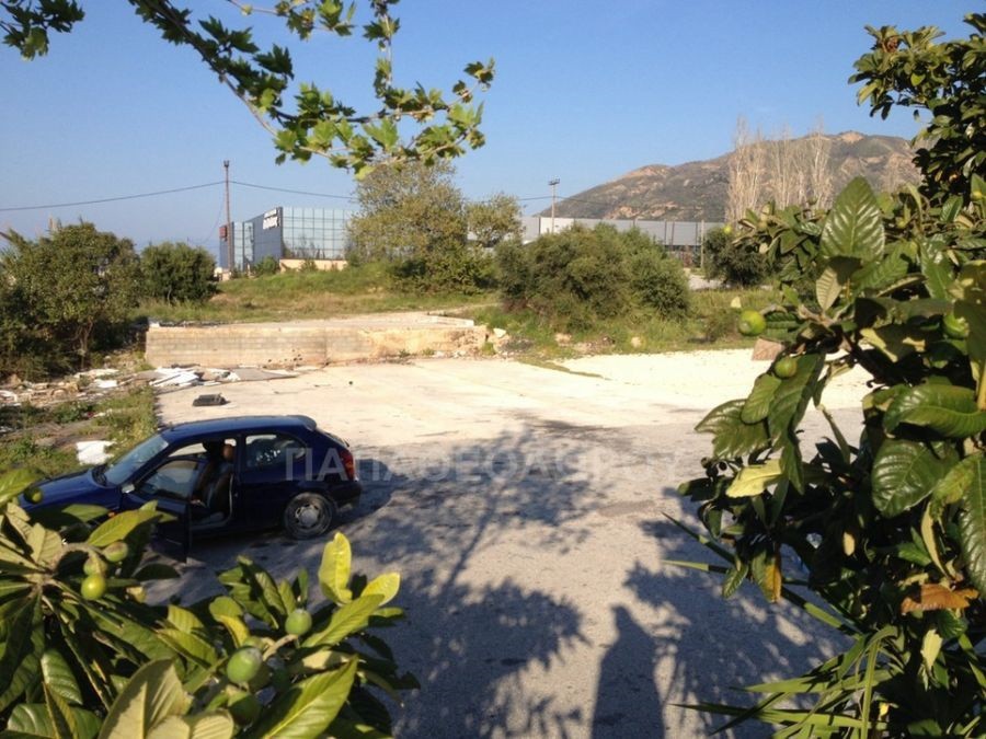 Αγροτεμάχια 7.300 τ.μ. πρός ενοικίαση, Αχαΐα, Ρίο