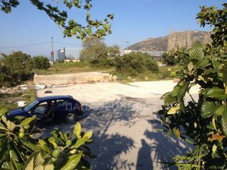 Αγροτεμάχια 7.300 τ.μ. για ενοικίαση, Αχαΐα, Ρίο-thumb-4