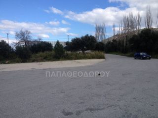 Αγροτεμάχια 7.300 τ.μ. για ενοικίαση, Αχαΐα, Ρίο-thumb-7
