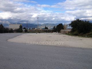 Αγροτεμάχια 7.300 τ.μ. για ενοικίαση, Αχαΐα, Ρίο-thumb-13
