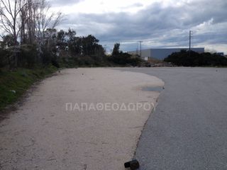 Αγροτεμάχια 7.300 τ.μ. για ενοικίαση, Αχαΐα, Ρίο-thumb-11